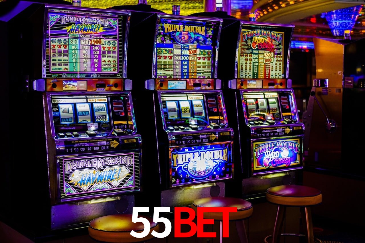 Sports Statistics 55Bet